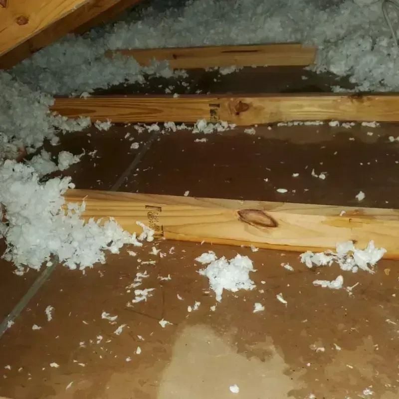 Attic Water Damage in Hidden Spring, ID