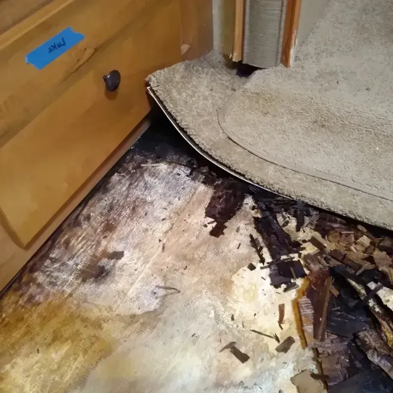 Wood Floor Water Damage in Hidden Spring, ID